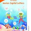 MARION CAPITAL LETTERS