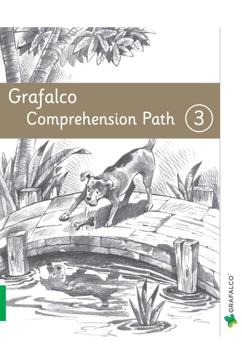 COMPREHENSION, PATH 3