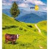 Navneet Youva Soft Bound Long Book 17x27 cm Unruled 300 Pages