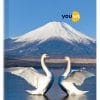 Navneet Youva Case Bound Long Book 21x33 cm Unruled 384 Pages