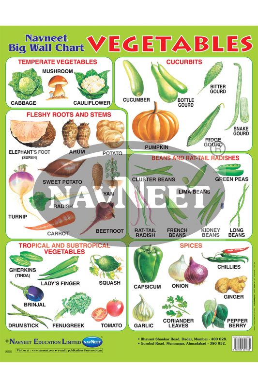 NAVNEET BIG WALL CHART -VEGETABLES - Navneet Education Limited