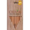 Navneet Youva Cedar Eraser tip Pencils (Pk of 10)