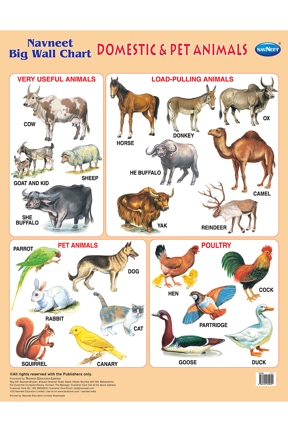 Navneet Big Wall Chart - Domestic & Pet Animals - Navneet Education Limited