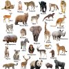 FUNtastic Wall Chart : Wild Animals