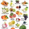 Small Wall Chart : Fruits