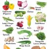 Small Wall Chart : Vegetables