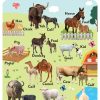 Small Wall Chart : Pet and Domestic Animals