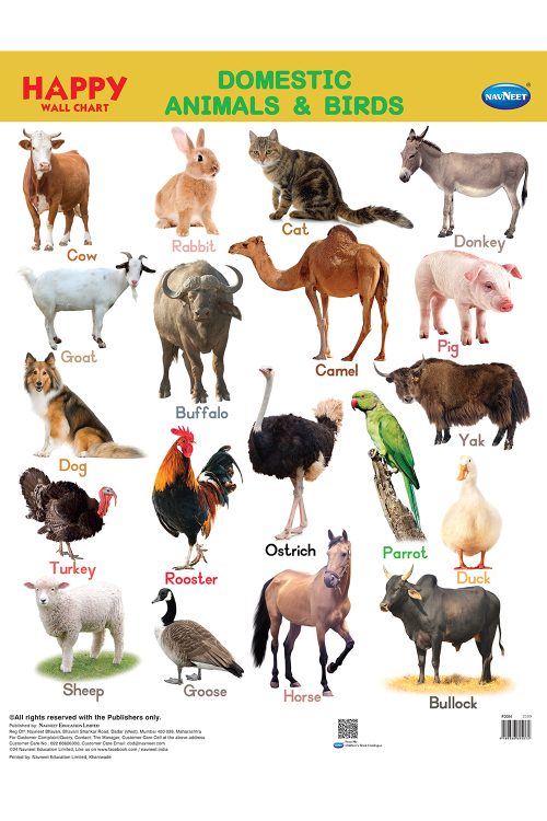 Happy Wall Chart - Domestic Animals & Birds