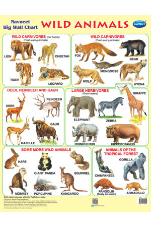 Navneet Big Wall Chart - Wild Animals