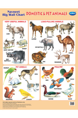 Navneet Big Wall Chart - Domestic & Pet Animals
