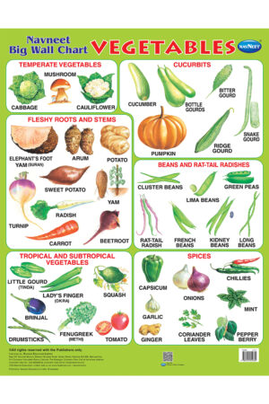 Navneet Big Wall Chart - Vegetables