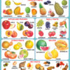 Navneet Big Wall Chart - Fruits