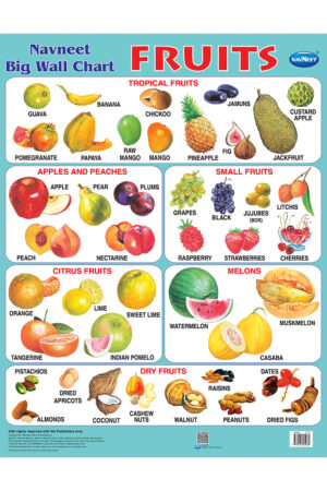 Navneet Big Wall Chart - Fruits