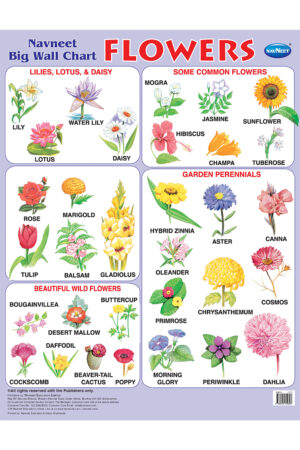 Navneet Big Wall Chart - Flowers