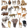 Happy Wall Chart - Wild Animals & What Wild Animals Eat