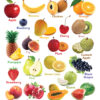 Happy Wall Chart - Fruits & Vitamins Power