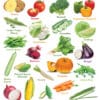Happy Wall Chart - Vegetables & Peek-a-boo veggies! And Where they grow & how we eat them