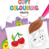 A Book Of Copy Colour  - Fruits
