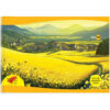 Navneet Youva | Yellow Drawing Book | Small A4 size 21 cm x 29.7 cm | 36 Pages