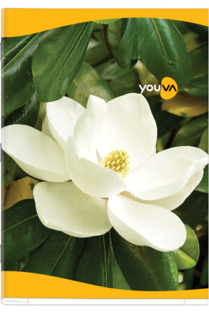 Navneet Youva | Soft Bound Long Book Feminine | A4 Size 21 cm x 29.7 cm | Single Line | 244 Pages