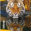 Navneet Youva | Soft Bound Notebook | Regular Size 15.5 x 18.8 cm | Maths Unruled | 172 Pages