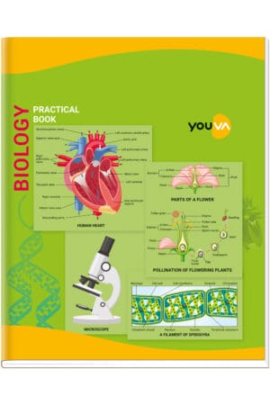 Navneet Youva | Biology Practical Book | 21.5 x 26.5 cm | Hard Bound | 1 Ruled / 1 Plain | 96 Pages