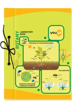 Navneet Youva | Hard Bound Botany Laboratory Book | 21?28.5 cm | 1 Ruled/1 Plain | 58 Pages