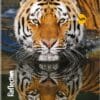 Navneet Youva | Full Bound Notebook | Jumbo Size 18 x 24 cm | Medium Square | 172 Pages